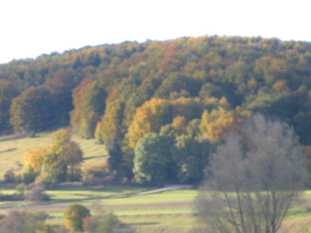 Gasthof Zum Lamm Gomadingen エクステリア 写真
